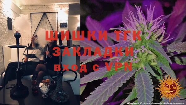 ПСИЛОЦИБИНОВЫЕ ГРИБЫ Сясьстрой