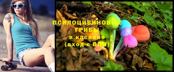 PSILOCYBIN Вязьма