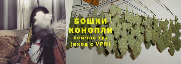 бошки Вяземский