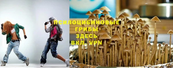 бошки Вяземский