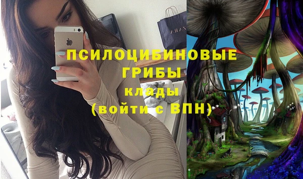 PSILOCYBIN Вязьма