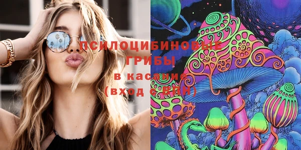 бошки Вяземский